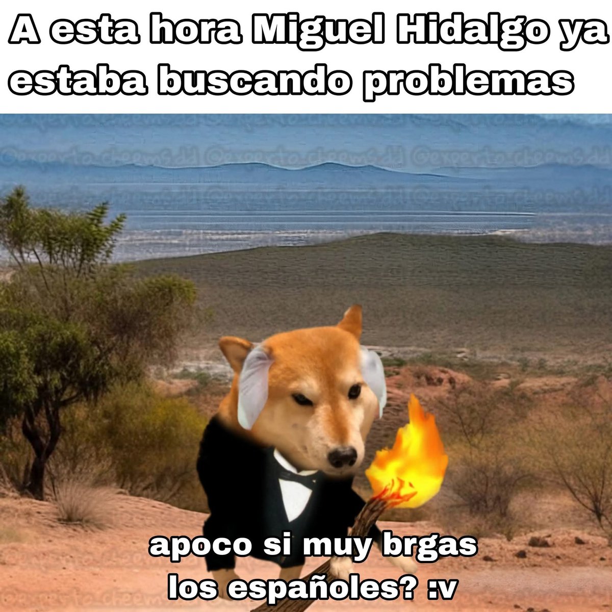 experto_cheems's tweet photo. https://t.co/L1mzWBcVQC