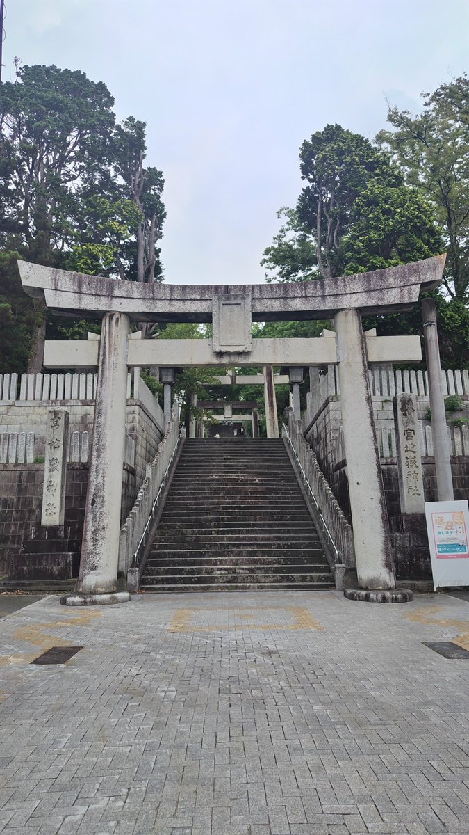 atsurinene's tweet photo. 近年は光の道✨で有名なこちら⛩️
おみくじも引いてみました🫡

💚💛が開封した場所で開けてみると…

大吉😊

※💛推しと聖地を巡っているので、この日の私は💚役…流石、大吉しか引かない方👏✨

…この時点で予定時間を大幅にオーバーしていたので
門司港⚓️は諦めて早めに次の場所へ https://t.co/Yfx2m2eUMw