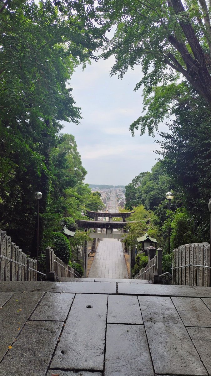 atsurinene's tweet photo. 近年は光の道✨で有名なこちら⛩️
おみくじも引いてみました🫡

💚💛が開封した場所で開けてみると…

大吉😊

※💛推しと聖地を巡っているので、この日の私は💚役…流石、大吉しか引かない方👏✨

…この時点で予定時間を大幅にオーバーしていたので
門司港⚓️は諦めて早めに次の場所へ https://t.co/Yfx2m2eUMw