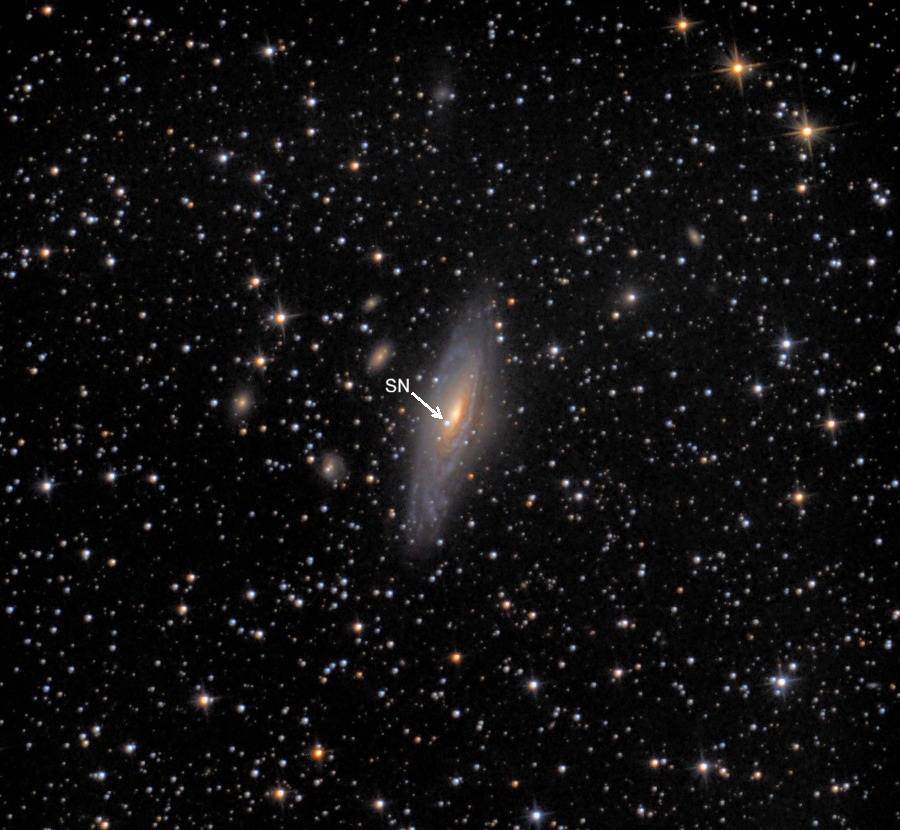 AstroMontseny's tweet photo. LA GALÀXIA #NGC7331 DES DEL #MONTSENY: Ahir la nit al Coll de Bordoriol també ens portà fins a la supernova #SN2026aaiv. El nostre soci Aleix Vila Cano @VilaAleix (a Instagram @astrobedroom) permeten gaudir la galàxia, els seus braços espirals i la supernova, ara en V mag +13🤩👌 https://t.co/rmLis5RESk