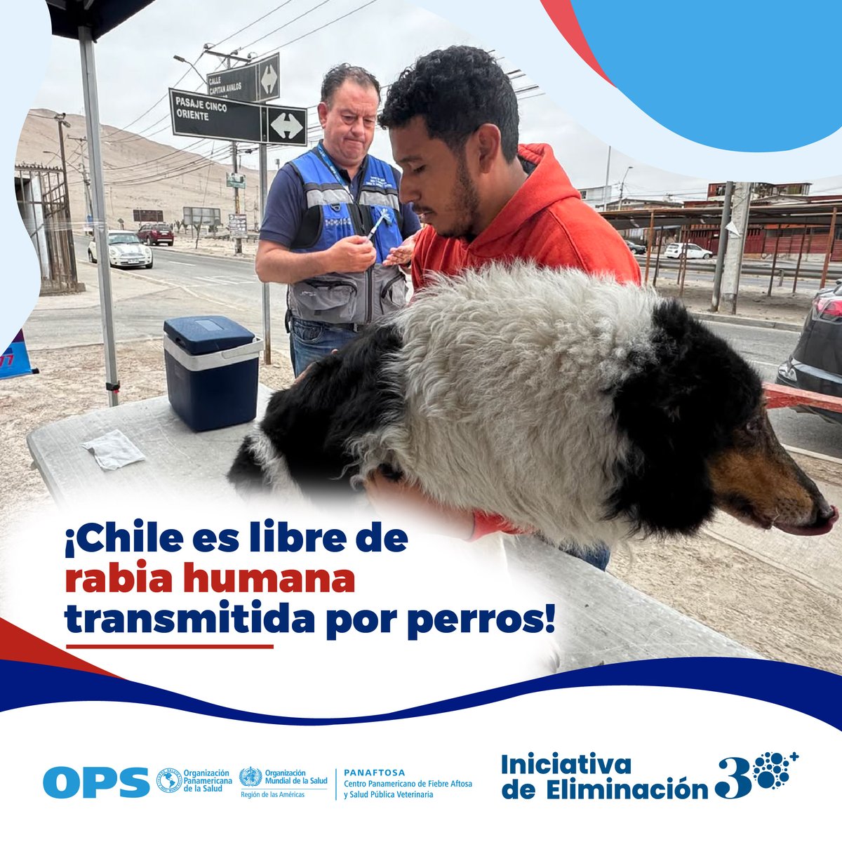 opsomschile's tweet photo. Felicitaciones Chile🇨🇱 es libre de rabia humana transmitida por perros 🐕🐶🐩🦮
Chile se convierte en el primer país de América del Sur validado por la OMS por eliminar la rabia transmitida por perros como problema de salud pública 👋👋
#IniciativaEliminación https://t.co/h2Zhn6ELhG