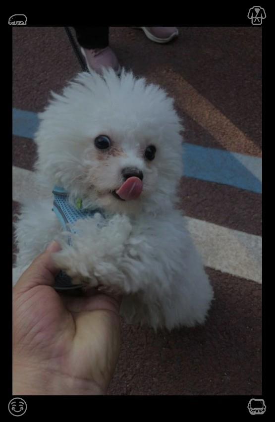 Aguilar0ff's tweet photo. Lila nodded, tears streaming down her face. “Yes,” she said. “Yes, a thousand times yes.” Elias slipped the ring on her finger, then stood up, kissing her. She took a selfie of them in that moment, the daisies around them, their smiles bright.🏟Strawberry and grape fruit sal https://t.co/G5wg0TZYu7