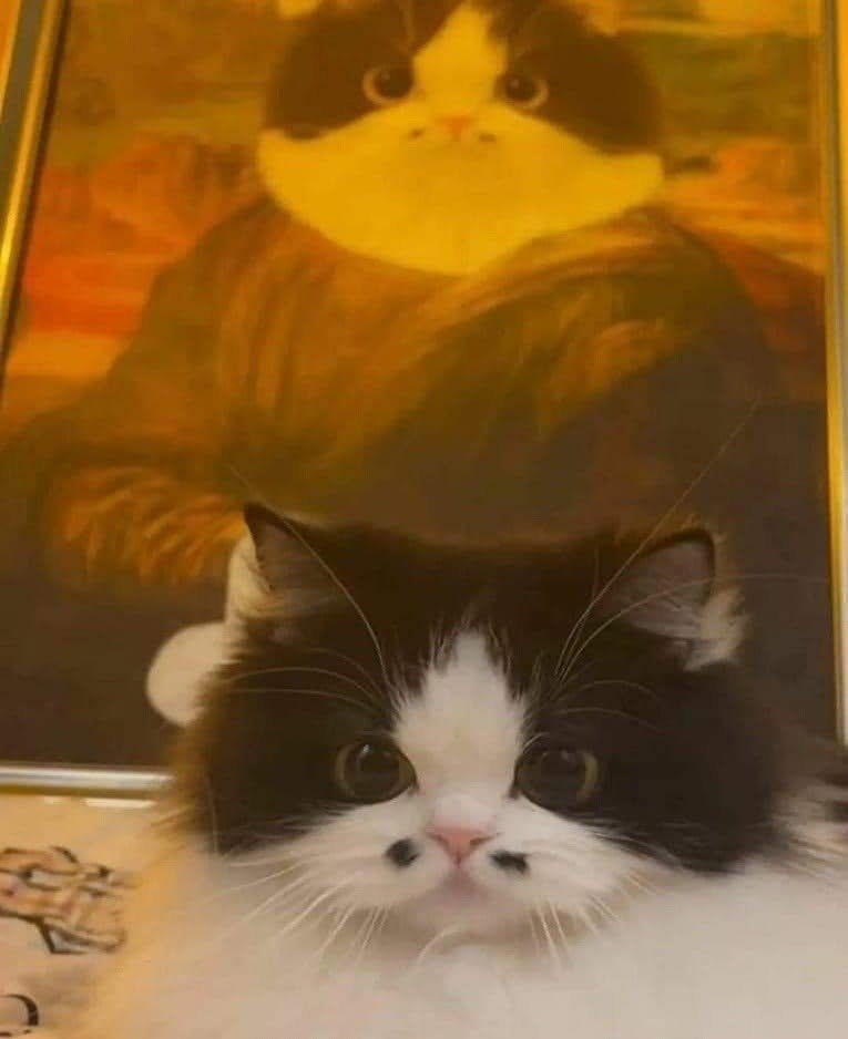 Rostinho de um gato preto e branco com a parte de cima do rostinho preta e o focinho branco olhando pra foto com duas pintinhas pretas na parte branca do focinho uma de cada lado do nariz e ao fundo atrás dele uma pintura da monalisa onde o rosto é o rosto desse gatinho com as pintinhas