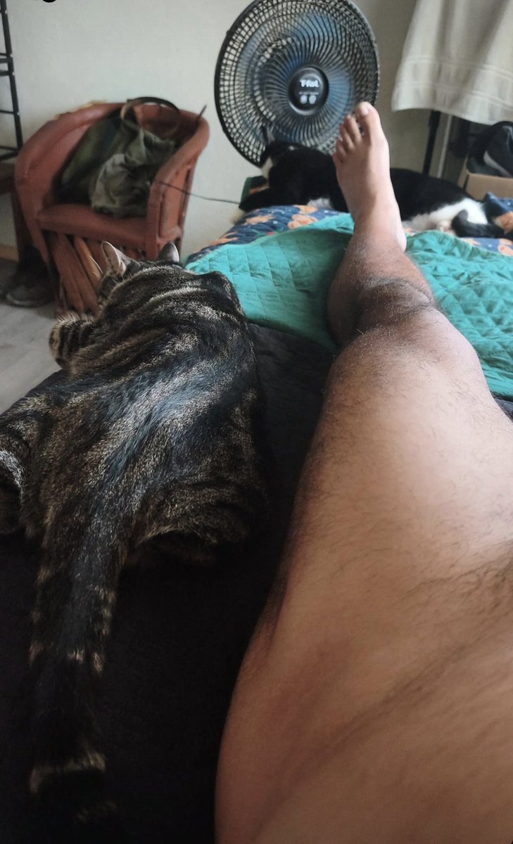 Shitarocat's tweet photo. Amanecimos con calor https://t.co/0sFNwaNnnu