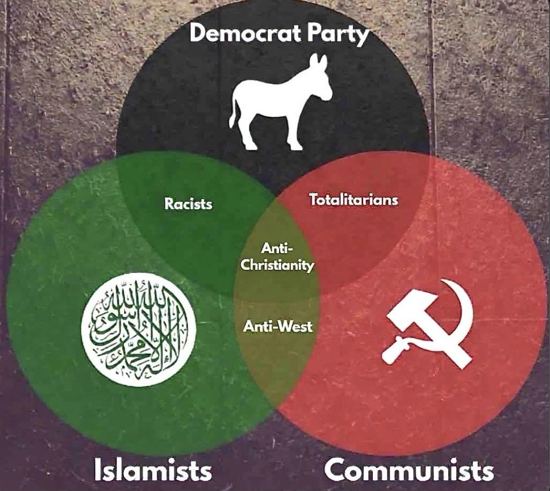 LR_Cadyz's tweet photo. @ossoff The democrat party are the party is illegals, criminals, fraudsters,  liars,  communists and America hating activists.  You check every one of those boxes. https://t.co/I8nw3DmpAL