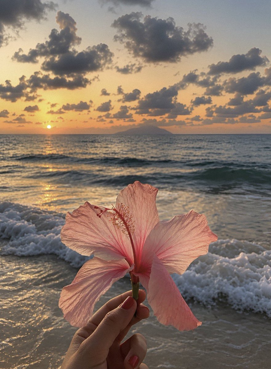 Superwomanwx's tweet photo. hibiscus flower https://t.co/oeDDqHQRFW