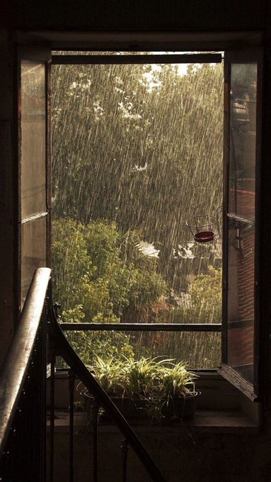 aestheticpost tweet picture