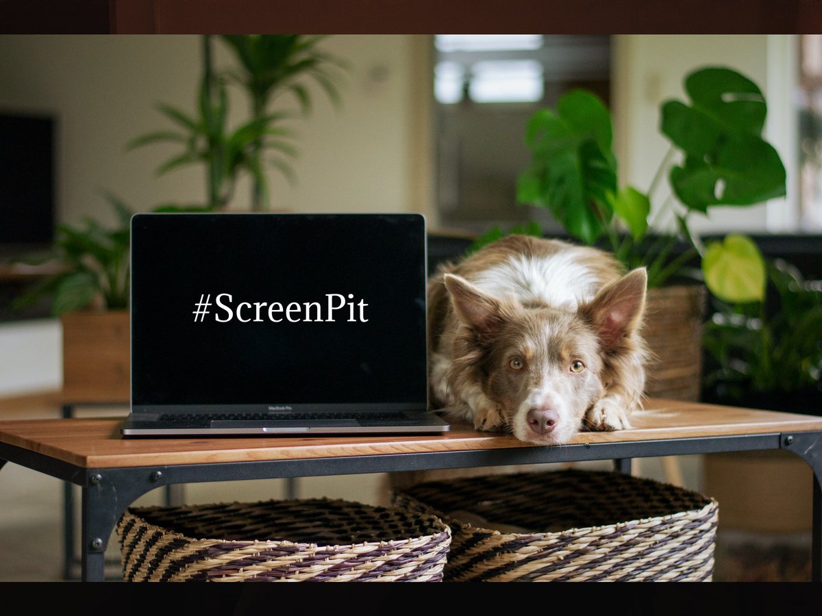 kimhornsby's tweet photo. Who wants to do ScreenPit on the 23rd?

Let's do it, if for no other reason than to mingle, support, get log lines ready, spark some hope, see what happens

I'll send out the announcement next Tuesday but we need you screenwriters to amplify it's happening!
https://t.co/yMocBkEouP

#ScreenPit @Screenpit @RWWFilm @henryindy