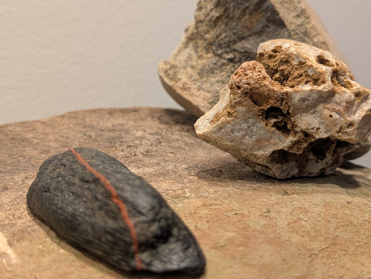 discrafty's tweet photo. " The early bird gets the worm".  This is my latest in a collection that's coming together...💫🤞🌀.  All found objects... And I know it I think they look like 🦕.  What do you see? #jontraill #droppedart #created https://t.co/lbfb0J6fiP