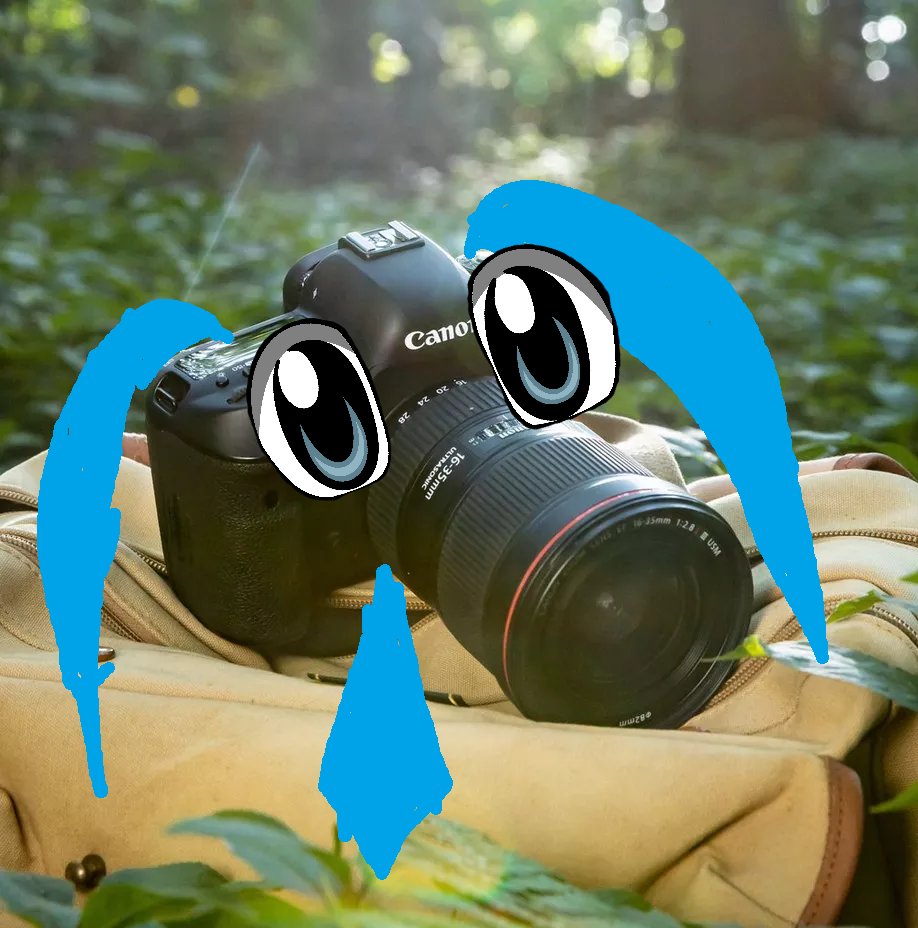 LeviaMusic's tweet photo. "every miku is canon"
ok https://t.co/kXcTjVGV5R