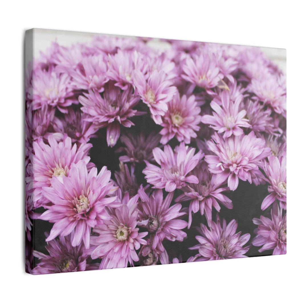 BNDandP's tweet photo. Fall time means mums! And boy do they make for great photos around the home too!
Link: https://t.co/71urdByKoh
.
.
.
#mums #artwork #photography #canvasphoto #smallbusiness https://t.co/5WO5fPmGyN
