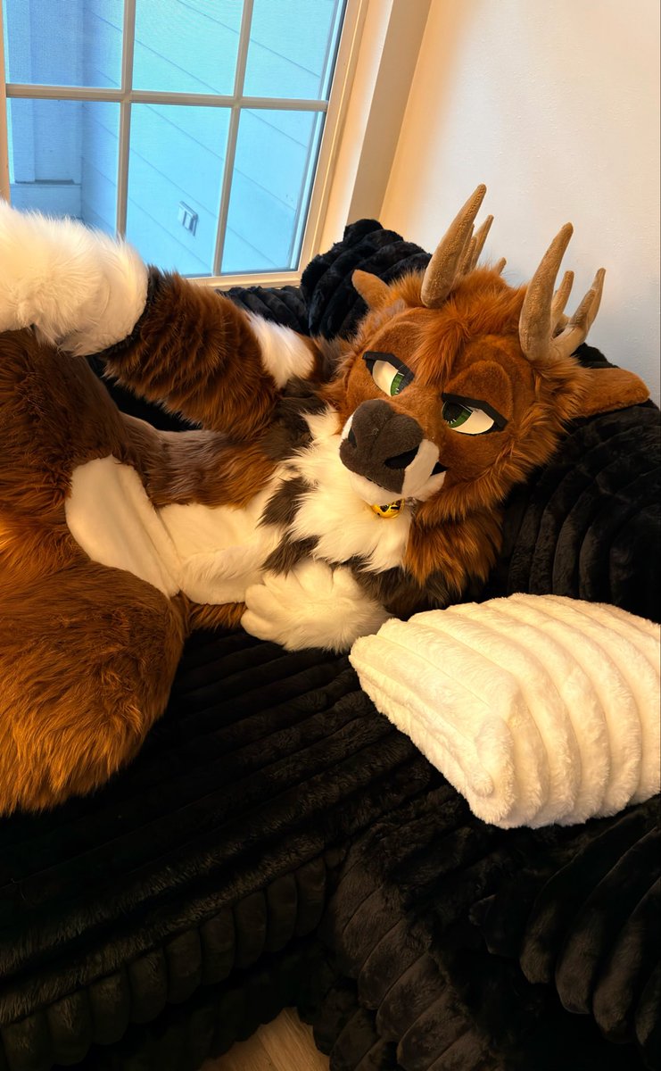 Deergineer's tweet photo. So who coming to fullsuit cuddle me or do I gotta lay here alone https://t.co/bZoV8f9Hhq