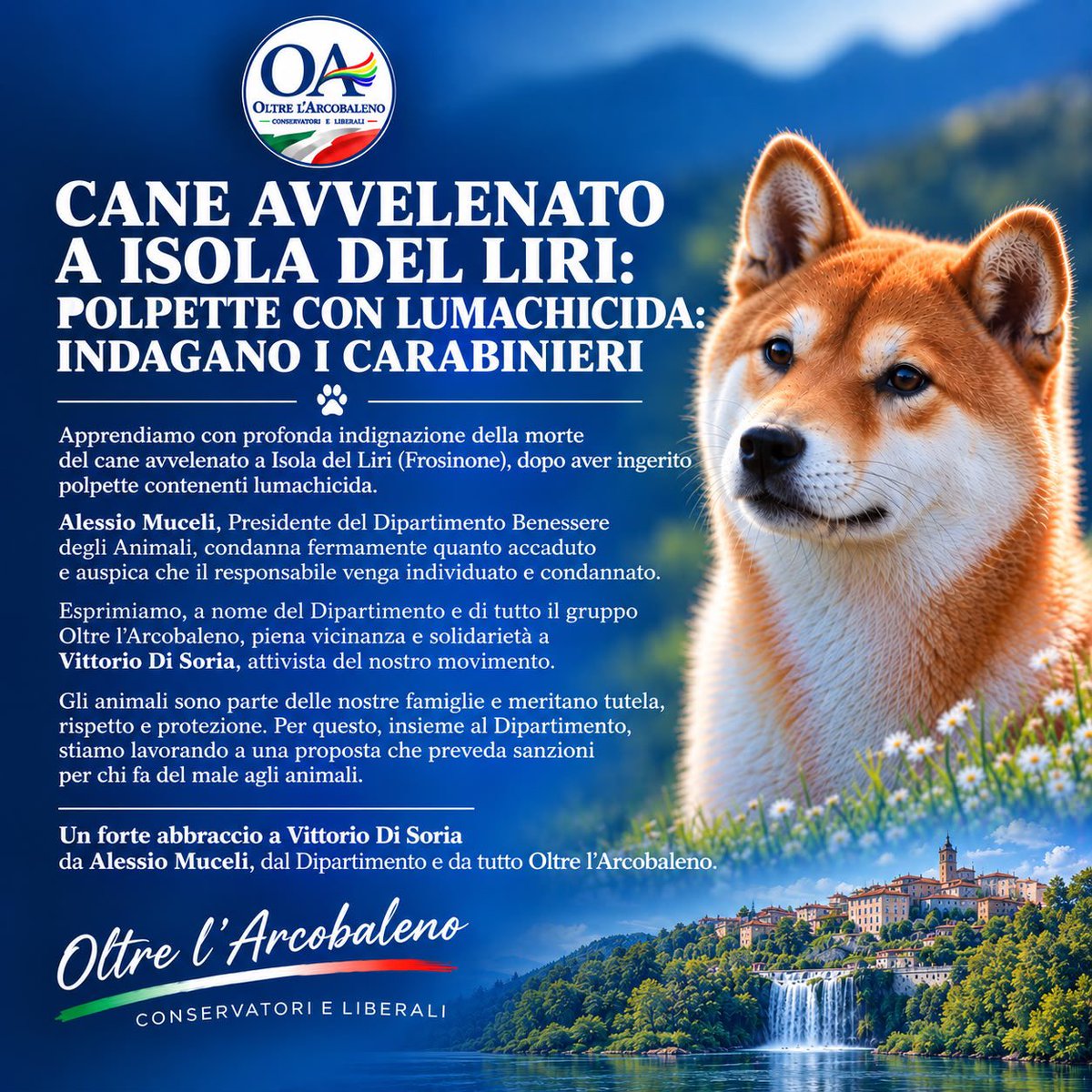 OltreArcobcn's tweet photo. Un gesto crudele e inaccettabile.

@mucelialessio, Presidente del Dipartimento Benessere degli Animali di OA CL, condanna fermamente quanto accaduto e auspica che il responsabile venga individuato e condannato. https://t.co/R8Fnr6eDfR