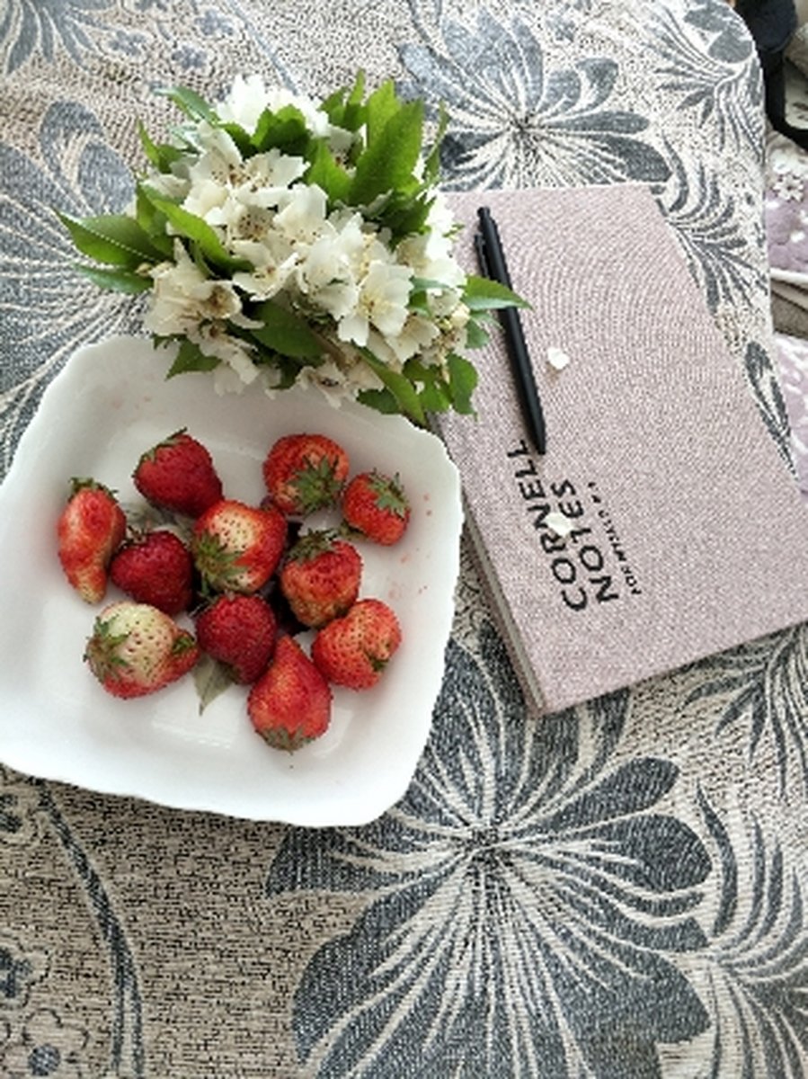 KandisKondqj's tweet photo. Just found a half-eaten strawberry in my fridge + a sticky note that says "Saved the best one for you "—daily magic with my favorite person https://t.co/qvIlqf4AjN