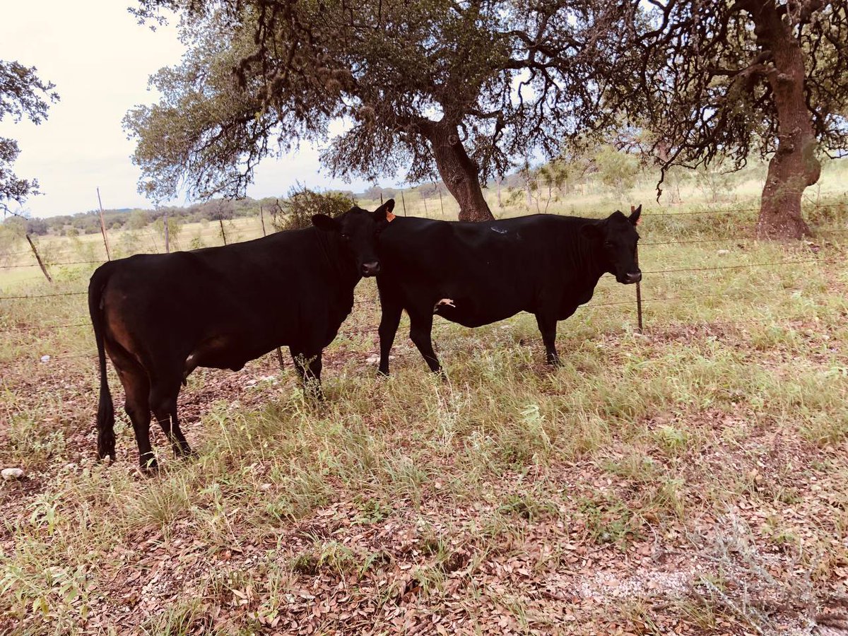 zach2arnold's tweet photo. Today, I came to my farm. https://t.co/mJ2vGoqFaO