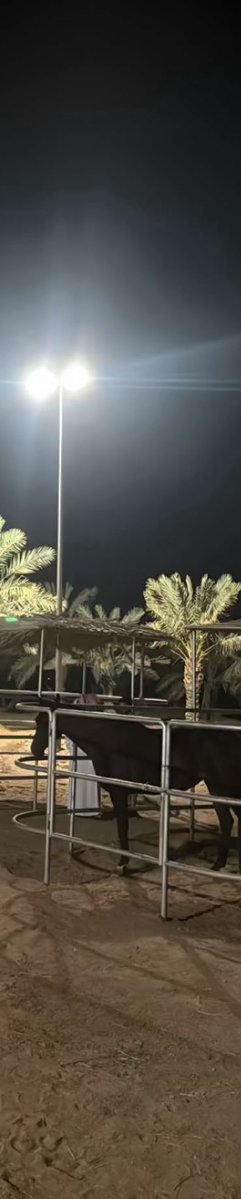 Dr11a2's tweet photo. محمد عبده | إن لزمت الصمت أو حتى لبست الأقنعة https://t.co/8x31J5RM6Z