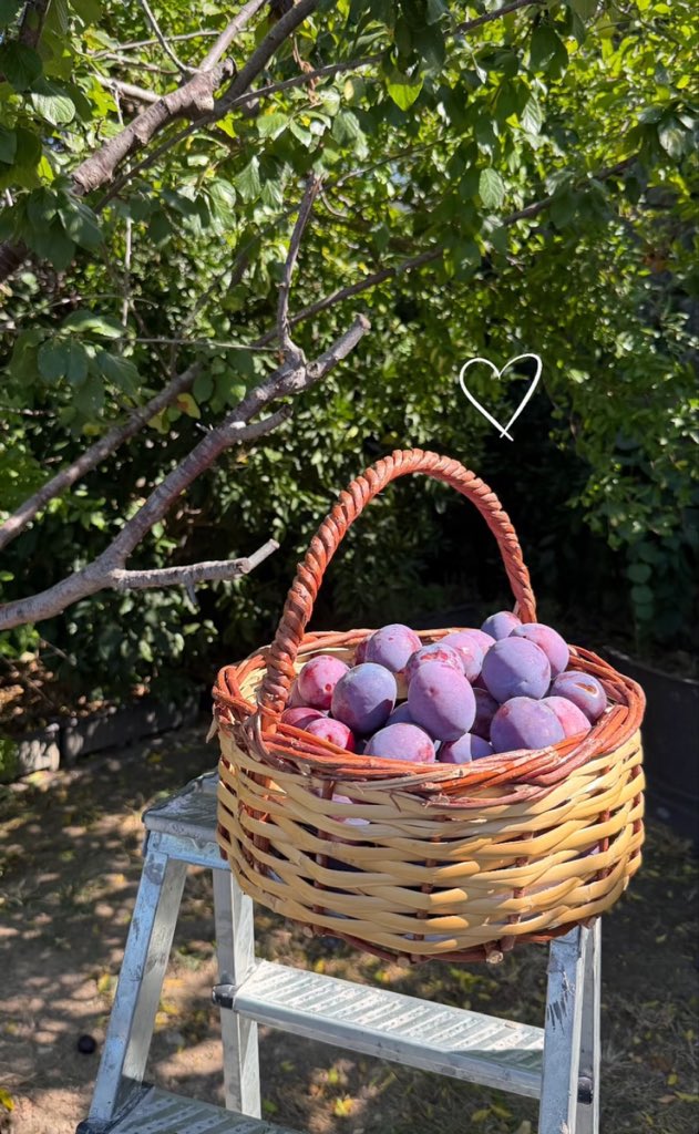 8Feride's tweet photo. 🫐🍈🥰 #new @EvcenF #fahriyeevcen https://t.co/TaVvEaIkBw