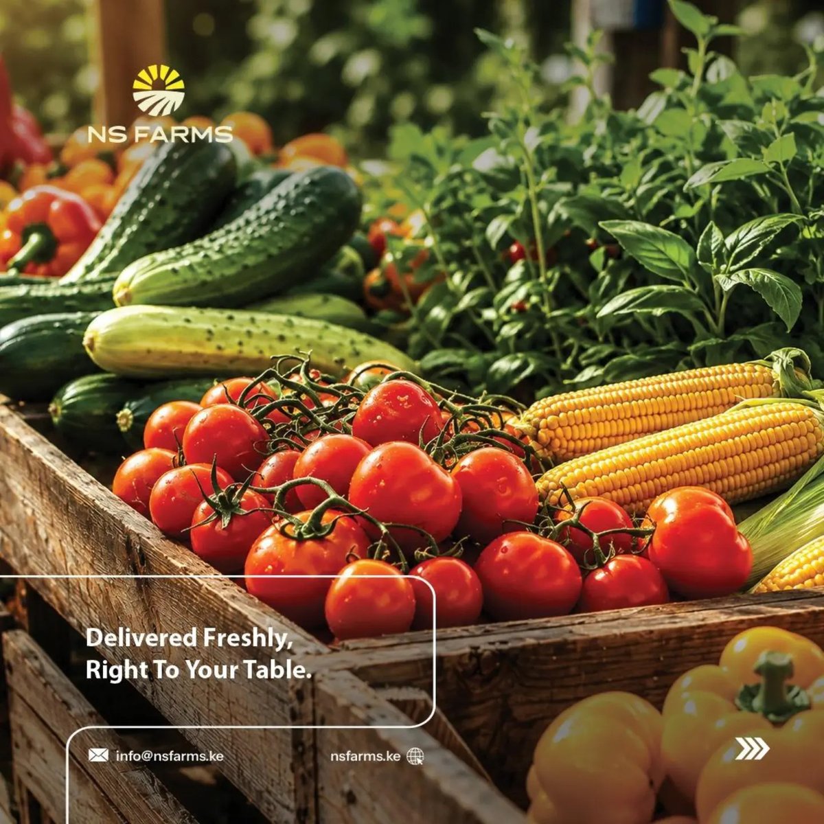 ns93315's tweet photo. Every product has a story worth knowing.
We follow that story from the farm through every stage of handling and supply, giving our customers greater confidence in what they receive.
#NSFarms #farmtotable #traceability #KenyanAgribusiness #QualityControl https://t.co/KKwW9Zdh4S