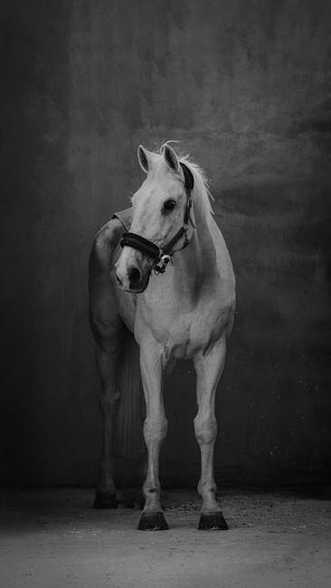 MaganRedmann's tweet photo. هو يخلق القوة الداخلية عبر الحنين النور الذي الأيام. jeanelle maclennan https://t.co/fAu6xWy2HJ