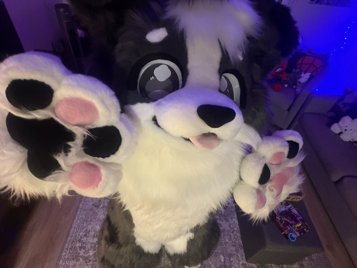 fishwithpaws's tweet photo. ૮ • ﻌ - აᯓ★ https://t.co/RP6pwws9HH