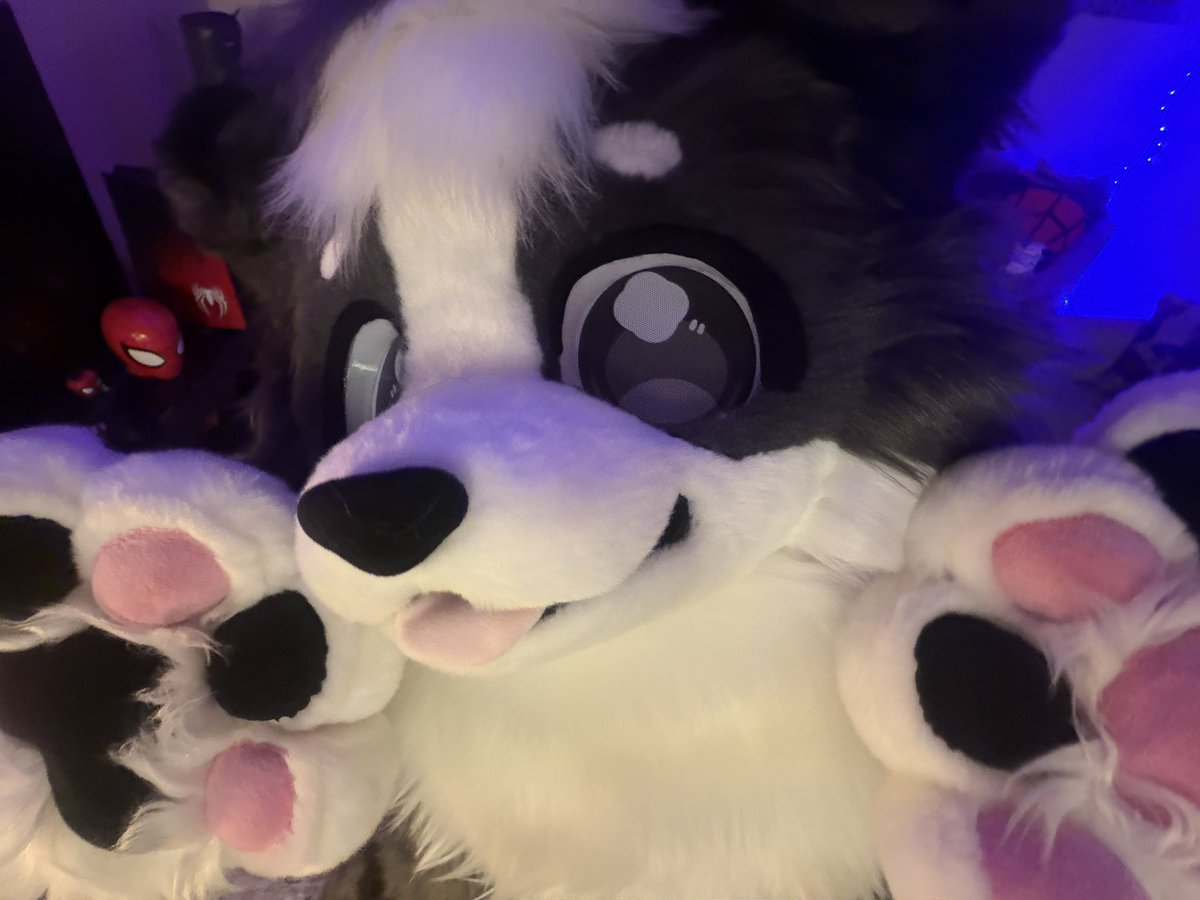 fishwithpaws's tweet photo. ૮ • ﻌ - აᯓ★ https://t.co/RP6pwws9HH
