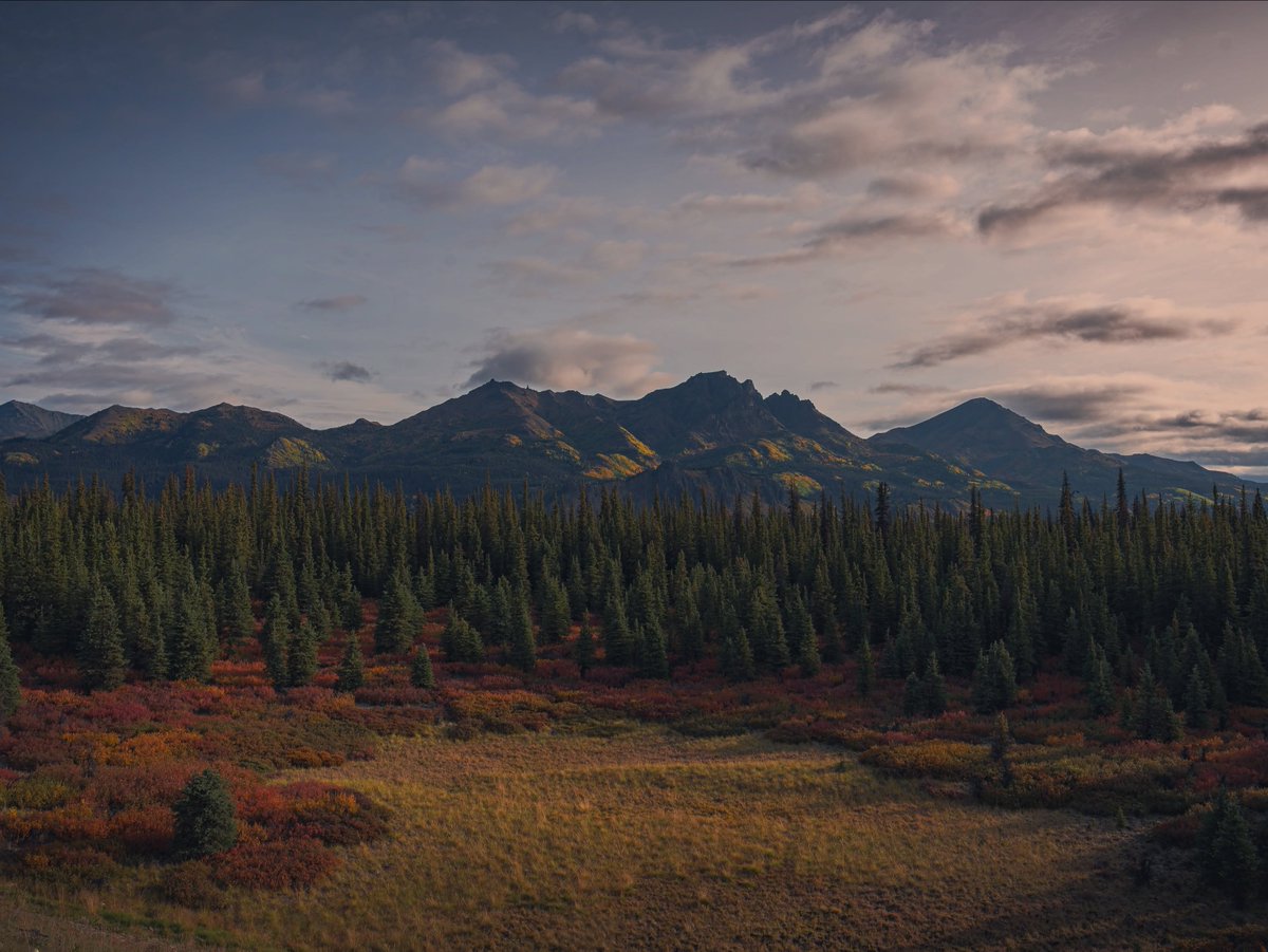visualsofearth1's tweet photo. Alaska https://t.co/MvJGOP9b28