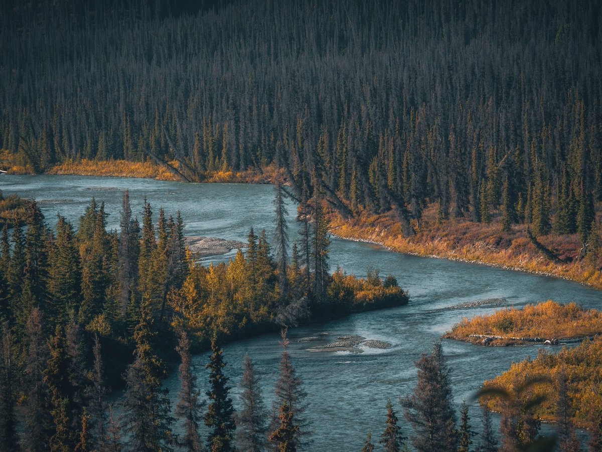 visualsofearth1's tweet photo. Alaska https://t.co/MvJGOP9b28