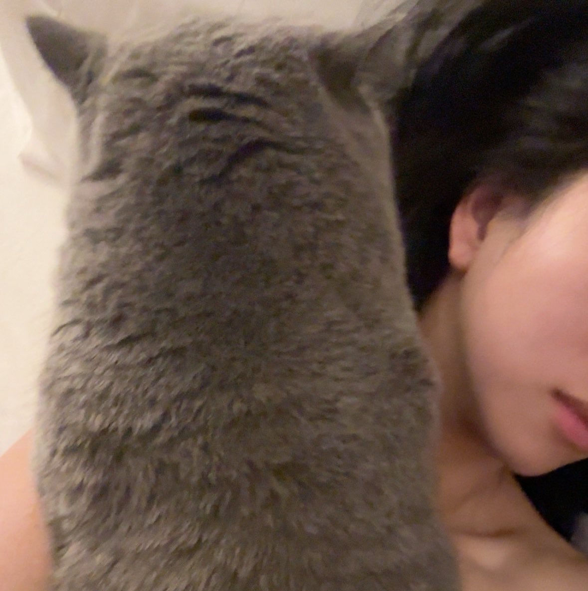 onlyjayirl's tweet photo. ୨୧ ⋆｡˚ #promotwt #moots #moothunt

jay ┊ she/her ┊ @onlyjayirl
♡ new here, looking for moots
♡ cats, anime &amp; gaming
♡ outfits, raves &amp; going out
♡ just finished cyberpunk, emotionally unavailable rn

♡ / ↻ to be moots, i don’t bite ... usually https://t.co/dPUOEvzrcP