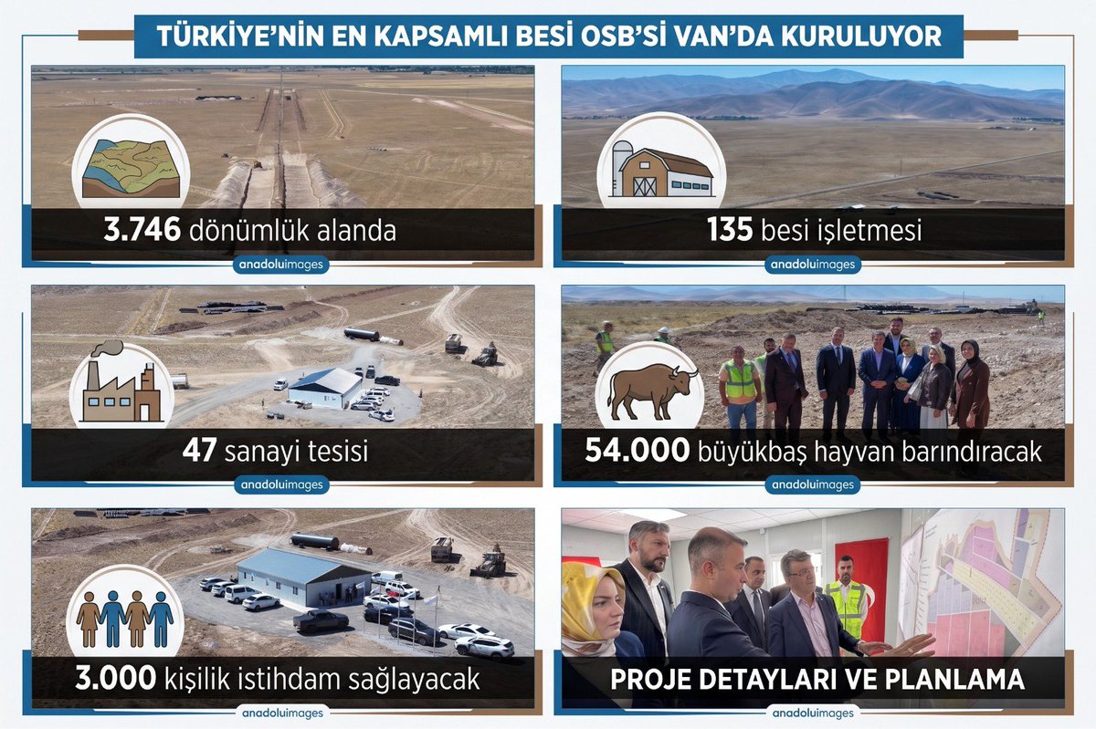K_Turkmenoglu_V tweet picture