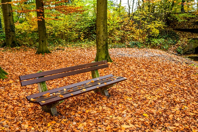 PrinceOdinson's tweet photo. 🌳 النهر الهادئة ترسم الأمل كل يوم 🌳
XSzSI https://t.co/510aH7Ij6N