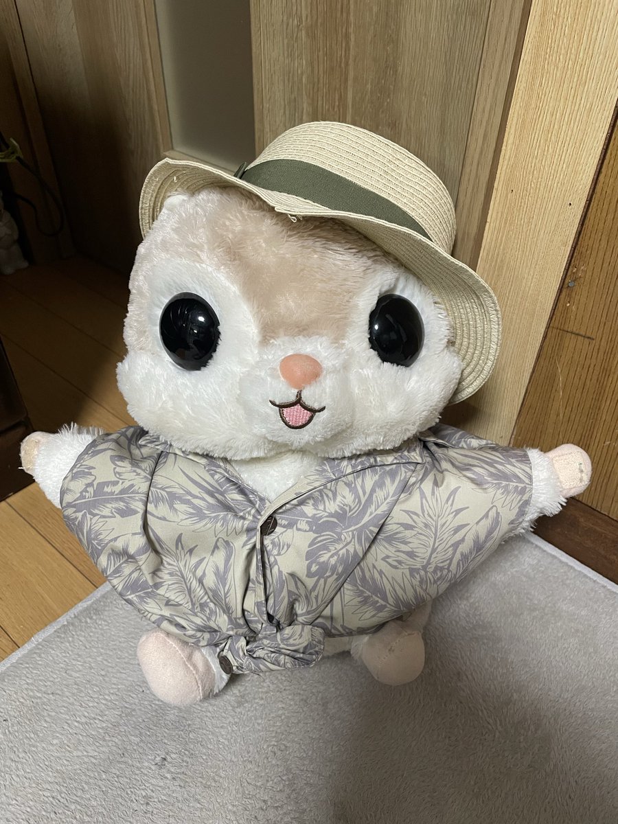 ayumixice's tweet photo. お洋服着てみたよ！
にあう？？？

#アミュキャラぬい撮り
#モモンガなんだモン
@AMUSE_japan https://t.co/y2eoagS1Zk