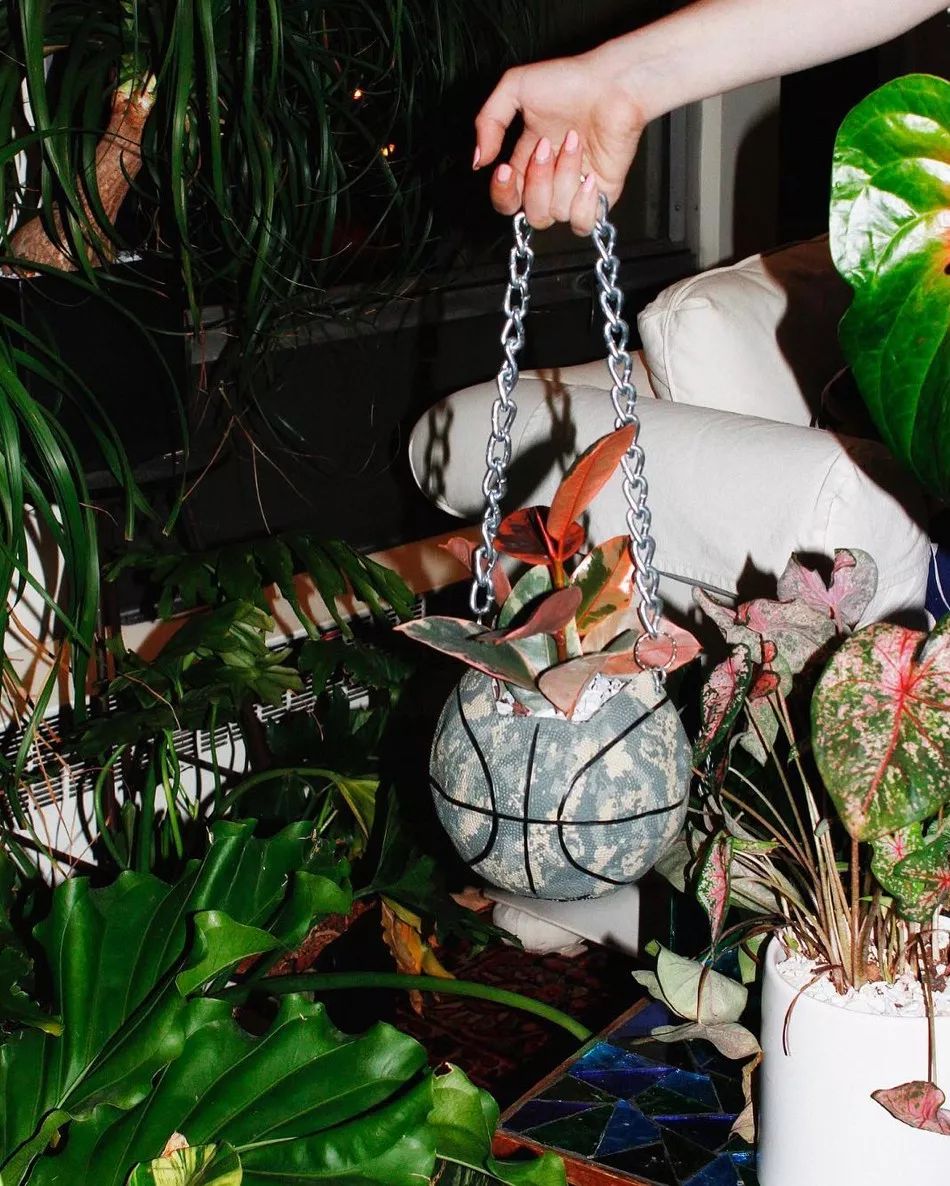 JodiDugmorwo's tweet photo. Just opened my long-awaited package, the unboxing vibe is chef’s kiss—found the limited edition plant pot I’d been hunting for months! https://t.co/tUDfiHo3ap