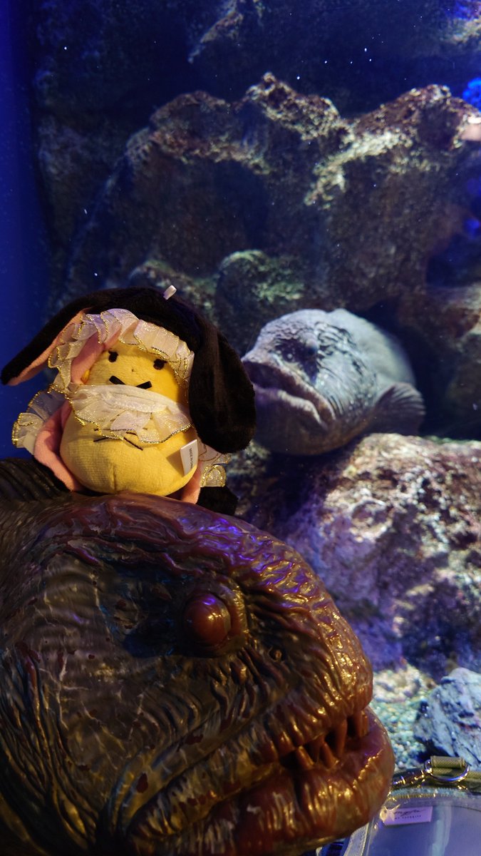 mugeunko's tweet photo. 江ノ水🐟️🪼 https://t.co/LsOkQXrEfH