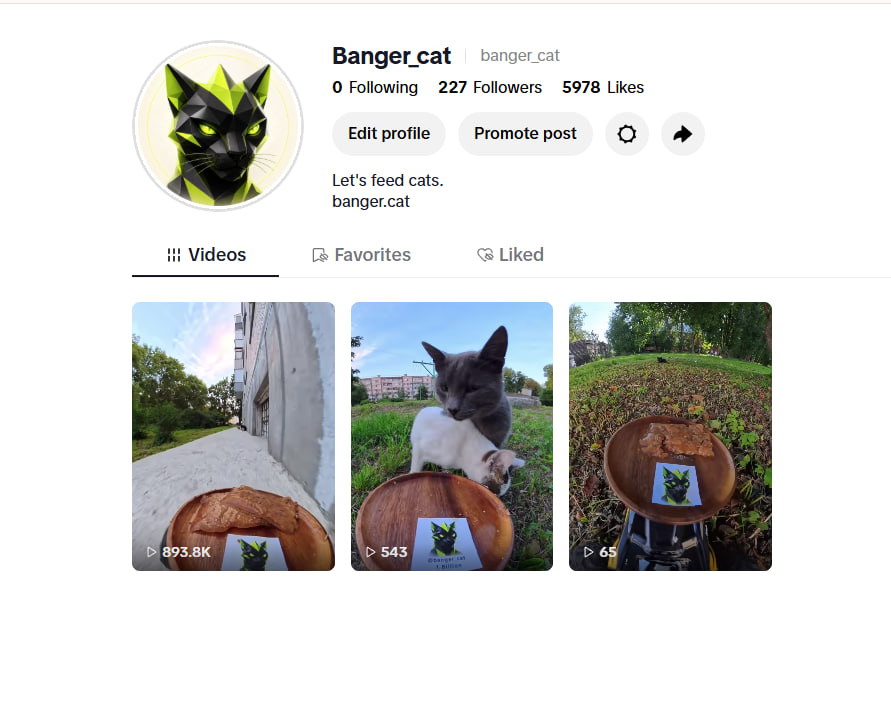Banger_Cat's tweet photo. This isn’t just another cat token.

We started Banger Cat because we wanted the project to actually stand for something.

We created Instagram and TikTok, started posting real videos of street cats being fed and those videos have already passed 1.5M+ total views.

That’s the part we care about most. People are seeing the mission sharing it and the movement is growing.

If you hold $BANGERCAT you’re not just holding another random coin with nothing behind it. You’re supporting a project that’s trying to turn attention in crypto into something useful in the real world.

Feed cats. Help the streets.  💚