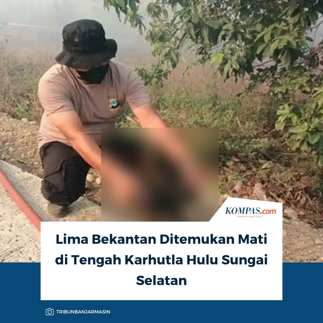 kompascom's tweet photo. Baca selengkapnya: https://t.co/j0Nh1C3FlH

Kobaran karhutla di Desa Balimau, Hulu Sungai Selatan, tak hanya menghanguskan vegetasi. Lima bekantan ditemukan mati setelah diduga terjebak di kawasan yang dilalap api.

~MS #Karhutla #Bekantan #20260914102045378 https://t.co/GJWitXUqya