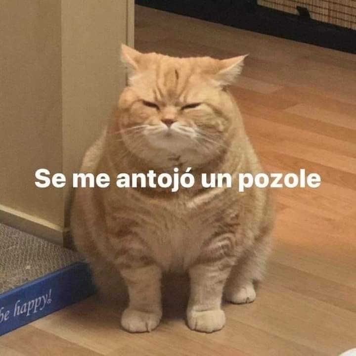 themaverikgom's tweet photo. Y no de lavadero! 🤣🤣🤣🤣🤣🤣🤣🤣🤣🤣🤣🤣🤣🤣🤣🤣🤣 https://t.co/wTibzOgkZ1