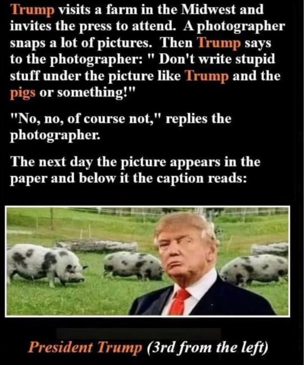 JessicaUSAF's tweet photo. Quiet, Piggy. 😂 https://t.co/ZPVlikJ35Z