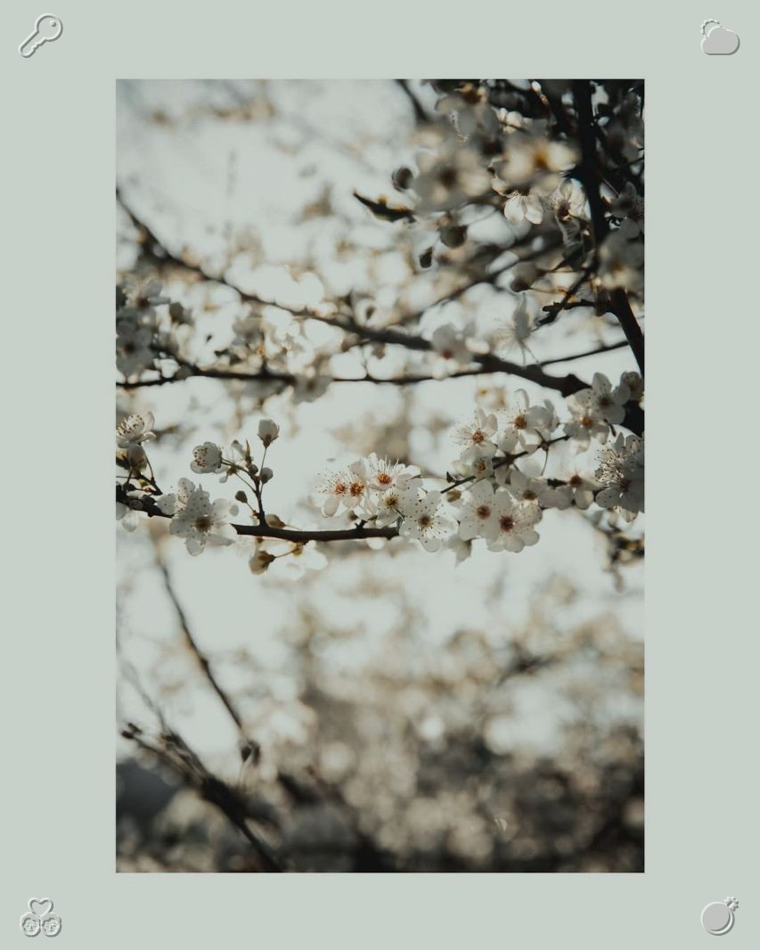 2556iessya's tweet photo. Clara felt her heart flutter, and with a bright smile, she nodded enthusiastically. "That sounds wonderful. I truly enjoyed today—thanks for chatting with me. It's refreshing to find someone who shares my passion for cats." Stroll with girlfriend, present chosen🤝 https://t.co/ro98gv545k