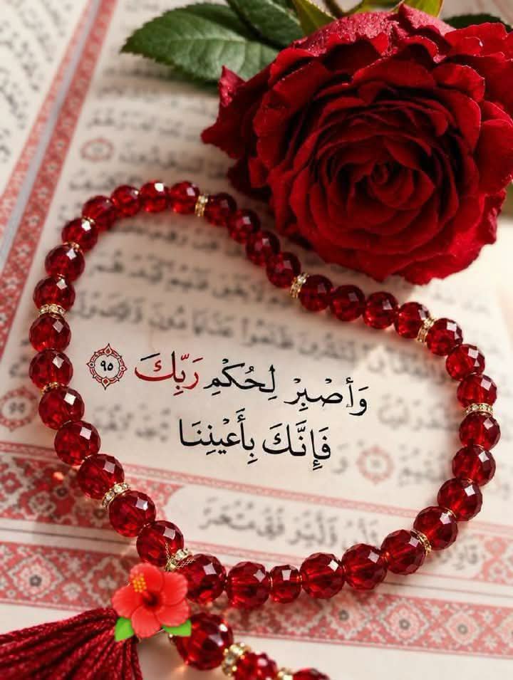 AlalwnT's tweet photo. ﴿وَاصْبِرْ لِحُكْمِ رَبِّكَ فَإِنَّكَ بِأَعْيُنِنَا﴾ آية لخصت كل شيء…
فأنت بعين الله https://t.co/ifnuMGKvqA