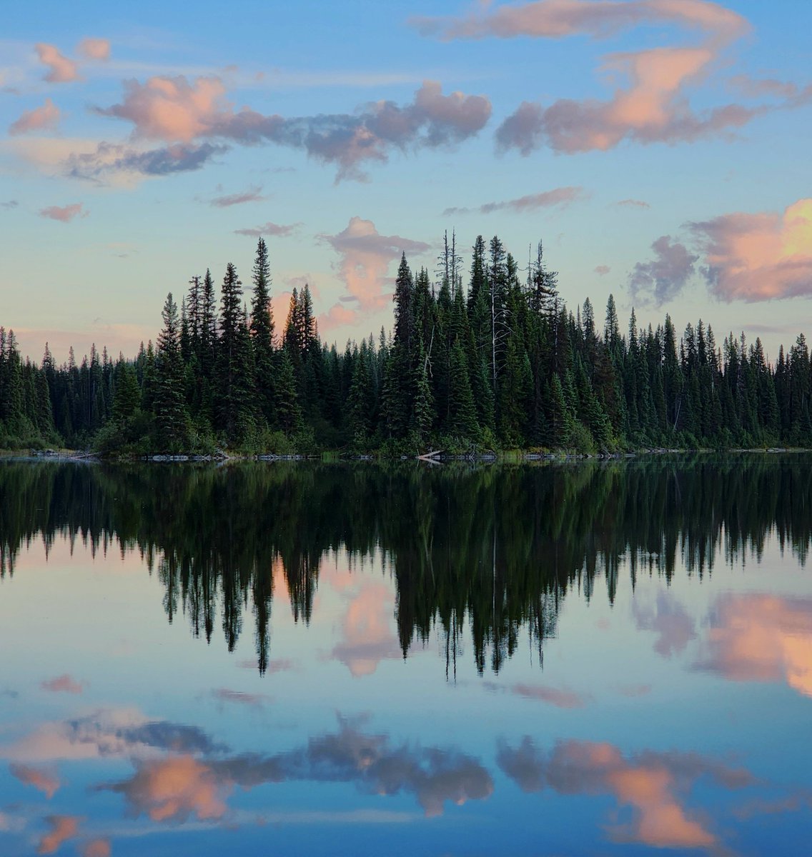 samahzedan03's tweet photo. breathing in the stillness https://t.co/Yw1EGML0gA