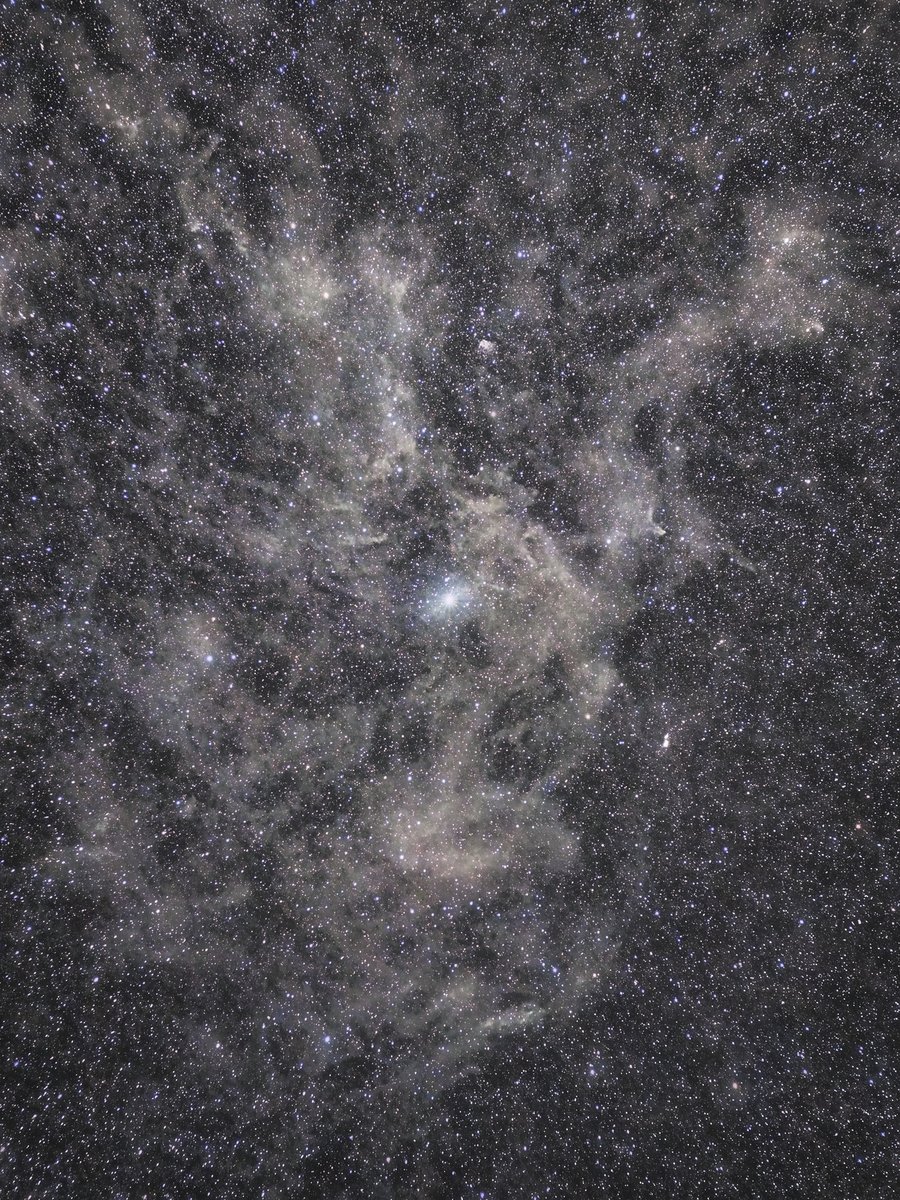 szBene42's tweet photo. Space around the North Star looks empty, but its filled with clouds of dust and gas. They don't have nearby stars to light them up, so they reflect the combined light coming from billions of stars across our galaxy.
Higher resolution and more info: https://t.co/qSDa0iigwd https://t.co/BrEtkEMD50