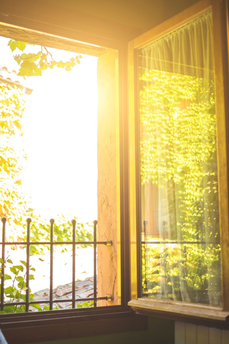 JacksonCropic's tweet photo. Just caught the sunlight hitting the clean windows I wiped this morning—small wins feel so good! https://t.co/m5DvbdeHpG