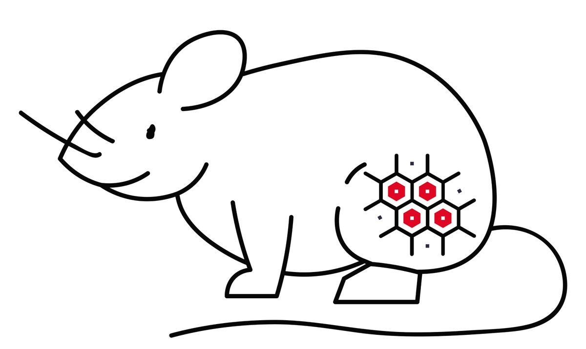 CR_AACR's tweet photo. Mapping the Divergence and Convergence of Mouse and Human Tumor Immunity—this In the Spotlight commentary by Chaojia Chen and Guangwen Ren highlights a recent Nature Immunology article from Tristan Courau and colleagues. https://t.co/9jTlym96CZ #PreclinicalModels #MouseModels https://t.co/hn1Z3H9E92