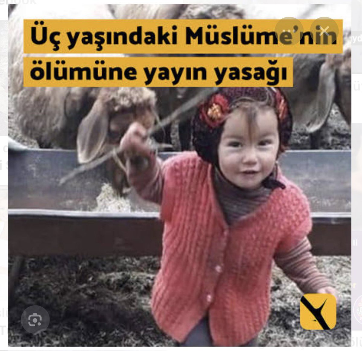 SaadetOzkanEfe's tweet photo. Aklıma Müslime çocuk geldi. 
Çocuklar  aynı acıları yaşamasın diye dua ediyoruz. 
Bu çocuk katillerinin kökü kurusun. Milletimin en talihsiz gecesi,
ana rahmine düştükleri gecedir.

Nedir bu çocukların çektiği?

Hem arsız hem yüzsüz hem de zalimler…
İfade verirken yüzleri kızarmıyor. Suratlarındaki o sırıtıştan, konuşurken içlerine içlerine kaçan o tuhaf seslerden etimizle kemiğimizle nefret ettik. 

Bir çocuğun yaşadığı acı karşısında zerre kadar vicdan göstermeyen bu zihniyetten daha aşağısı olamaz.

Çocuklar için adalet istiyoruz.
Vicdan istiyoruz.
İnsanlık istiyoruz.

#MerhametiÖrgütle