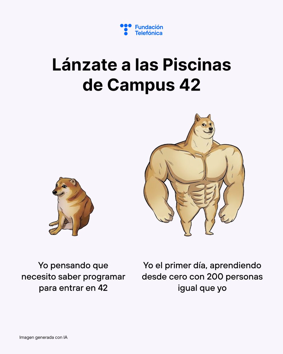 fundacionTef's tweet photo. ¿No sabes programar? 

Bienvenido, como todos el primer día. 🏊

En las Piscinas de Campus 42 se aprende a crear tecnología desde cero, sin profesores, sin clases y gratis. 

👉 Lánzate: https://t.co/5n2XvAomol

#Campus42 #FundaciónTelefónica https://t.co/AbFFLyl7QX