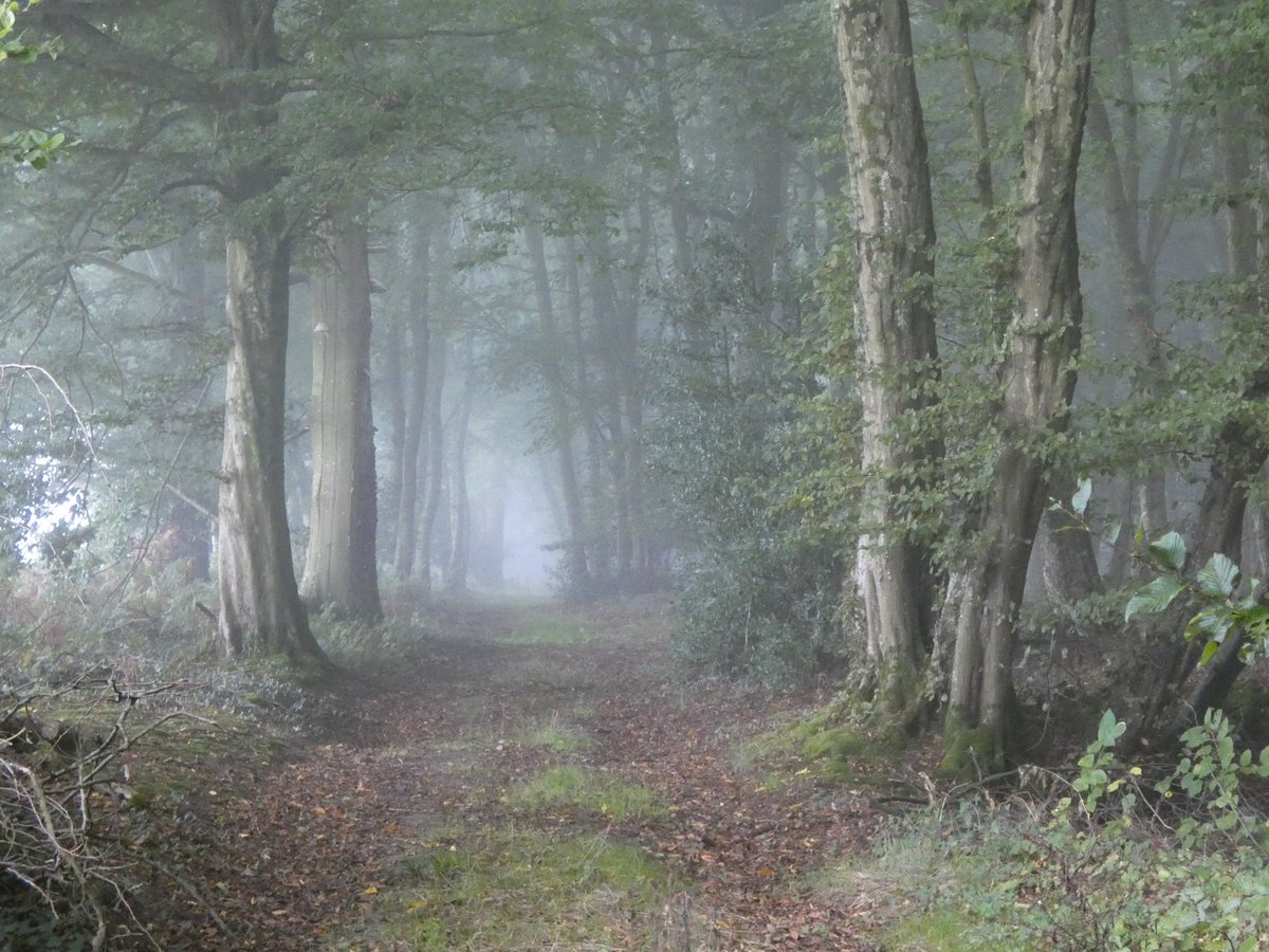 CianMorvan's tweet photo. Il y a des chemins qui n'ont pas beaucoup changé en deux mille ans.

#Gaule #Histoire #RomanHistorique https://t.co/n8ymfLxo1F