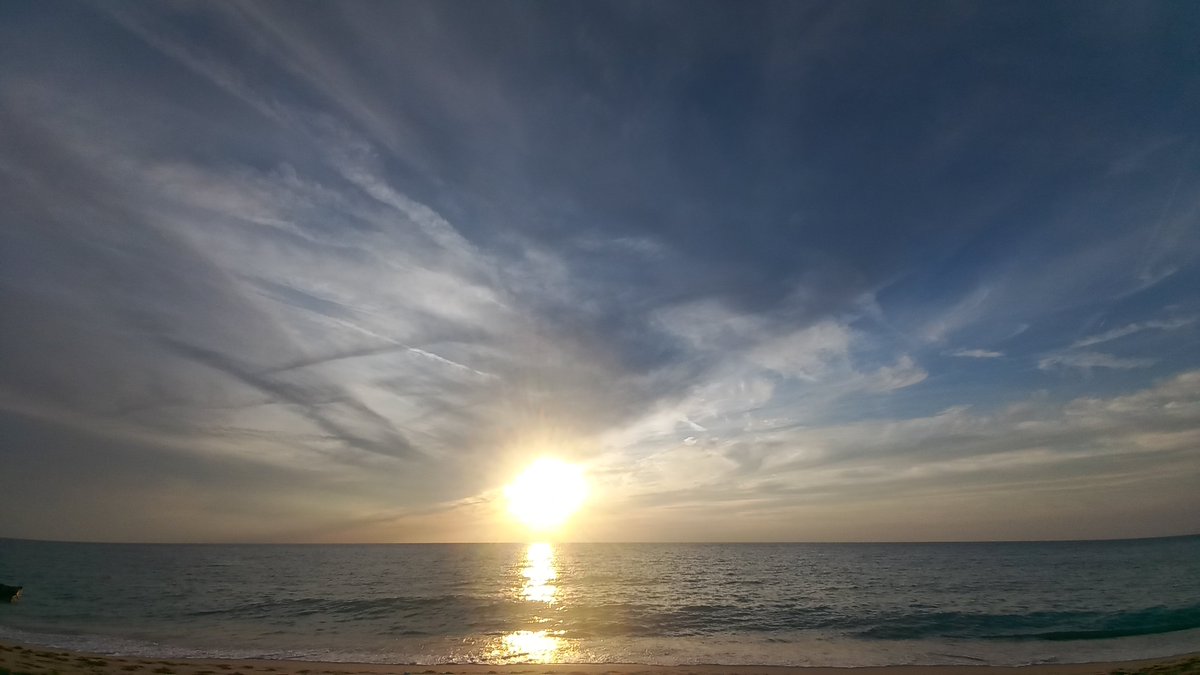 happyytrimmer's tweet photo. Καθε Σεπτέμβριο αρχίζουν τους ψεκασμούς https://t.co/OmkTQ7m4In