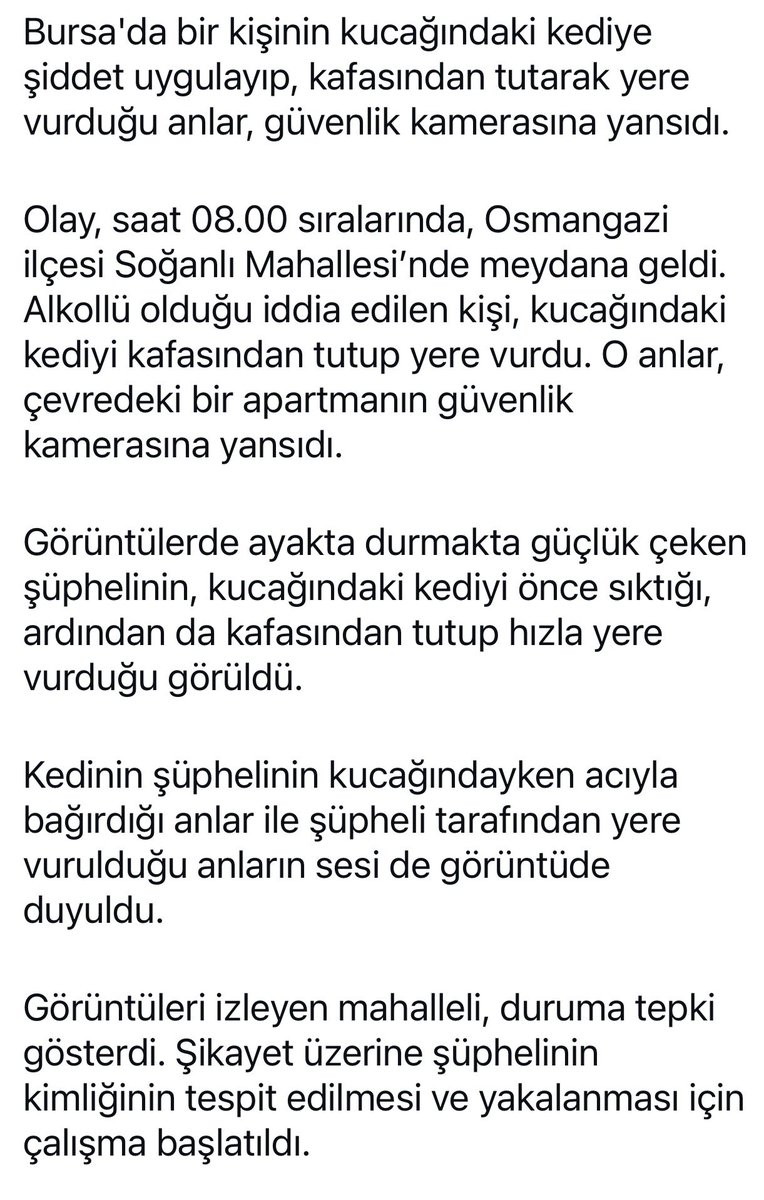 ku_ayd's tweet photo. 🆘 Acill ‼️‼️Bursa’da kediye işgence‼️‼️ Kucağındaki kediyi önce sıktı sonra,yerden yere vuruyor🤬Kim bu cani acill bulunsun   @EmniyetBursa  @bursailjandarma  @bvho11 @BelovacSerap  @eceuner12  @szctelevizyonu  @halktvcomtr  rt desteği lütfen #HayvanaŞiddetSuçtur https://t.co/Bj6gwD1qon