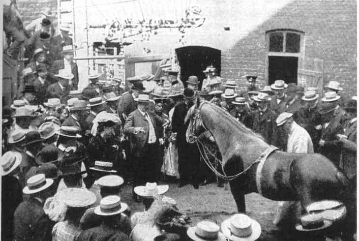 oylemimosyo's tweet photo. 🐴 1900'lerin başında Berlin'de Hans adında bir at matematik işlemleri yapabiliyordu.

🧮 Sahibi emekli öğretmen Wilhelm von Osten'dı. Hans nalıyla yere vurarak toplama, çıkarma işlemleri yapabiliyor, hatta takvim ve nota sayabiliyordu. Mesela sahibi veya seyircilerden biri tahtaya 3+2 yazdığında, Hans 5 defa ayağını yere vuruyordu.

📰 Kalabalıklar onu izlemek için toplanıyor, gazeteler 'düşünebilen at' diye yazıyordu. Nâmı Almanya'nın dışına bile yayılınca, 1904'te devlet tarafından bir veteriner, psikolog ve hayvanat bahçesi görevlisinden oluşan bir komisyon kuruldu; ama işin içinde bir hile bulamadılar. Von Osten cebinde şekerle falan işaret vermiyordu; görünen o ki gösteriler gerçekti.

🧠 Sonra psikolog Oskar Pfungst işi ele aldı ve fark etti ki Hans, yalnızca soruyu soran kişi cevabı bildiği zaman doğru vuruyordu. Aksi takdirde at saçmalıyordu.

👁️ Bunun üzerine Pfungst, Hans'ın gözünü bağlayıp soranı perdenin arkasına aldı. Zeka buhar oldu.

Hans bir matematik uzmanı değildi anlaşılan ama işin sırrı neydi peki, Leydim? 🧐 @oylemileydim