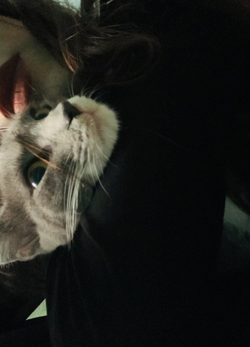 princessnymm's tweet photo. cute aggression https://t.co/Py8V3VU08v